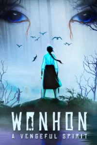 Wonhon A Vengeful Spirit