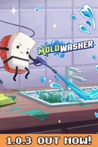 Moldwasher